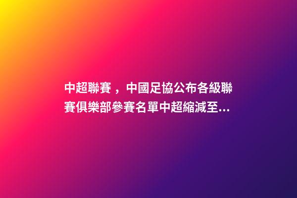中超聯賽，中國足協公布各級聯賽俱樂部參賽名單中超縮減至16隊-第1張-觀點-玄機派